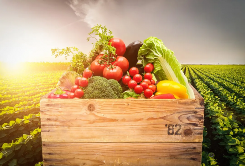 國內(nèi)外溫室園藝機器人的研究和應(yīng)用現(xiàn)狀