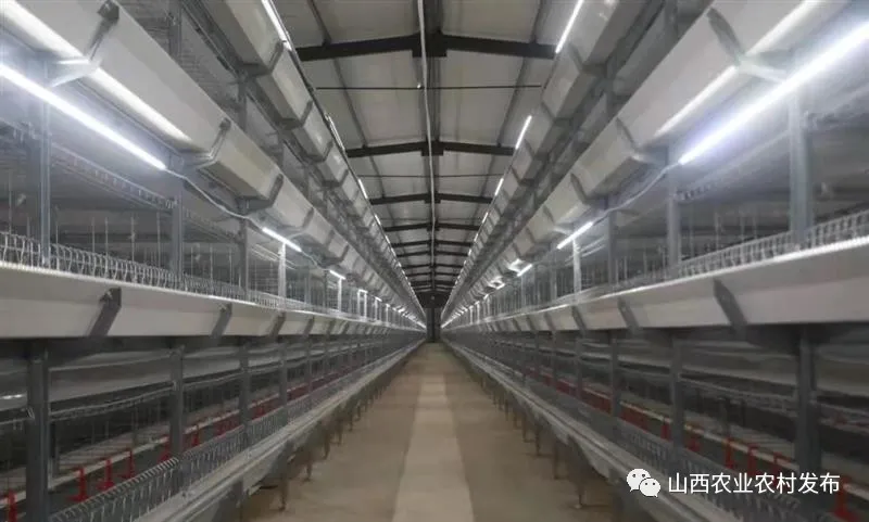 山西：&ldquo;五好&rdquo;畜牧領(lǐng)跑農(nóng)業(yè)高質(zhì)量發(fā)展