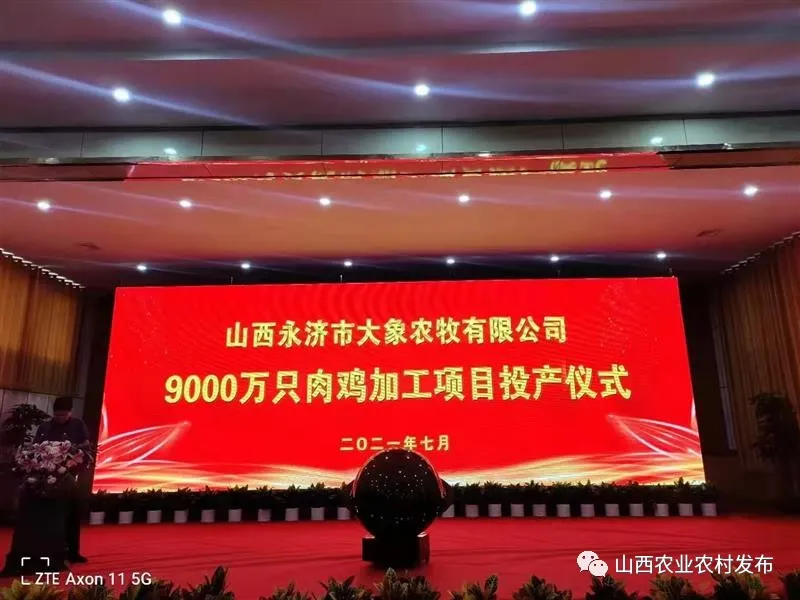 山西：&ldquo;五好&rdquo;畜牧領(lǐng)跑農(nóng)業(yè)高質(zhì)量發(fā)展