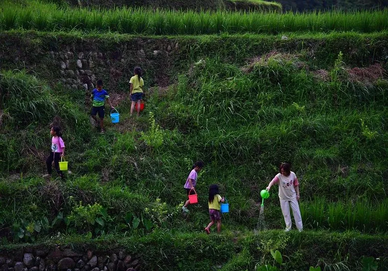 賀雪峰：未來 15 年， 鄉(xiāng)村振興關鍵在保底