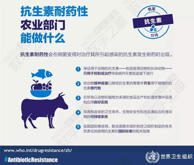 &ldquo;抗生素肉&rdquo;擺滿中國人餐桌，豬肉含量居然是牛肉的5倍!