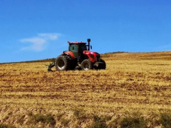 數(shù)字化時代，信息化育種的實施步驟和要點