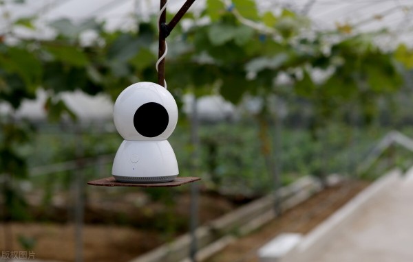 8大農業(yè)產業(yè)崛起，未來或將成為投資重點