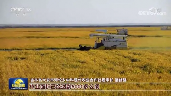 我國秋糧大面積開鐮 農(nóng)業(yè)科技現(xiàn)代化加快推進(jìn)