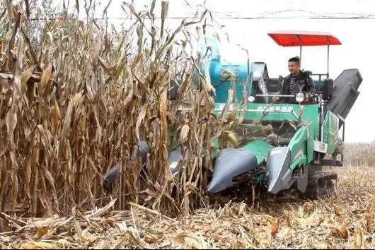 多雨之秋農(nóng)機(jī)人各顯神通  盡最大可能確保&ldquo;三秋&rdquo;農(nóng)機(jī)化生產(chǎn)