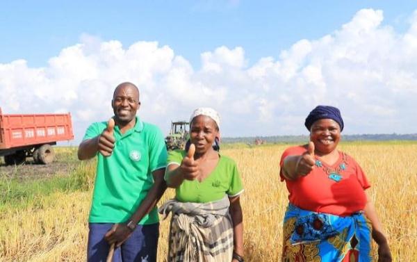 &ldquo;中國(guó)農(nóng)技&rdquo;&ldquo;中國(guó)農(nóng)機(jī)&rdquo;&ldquo;中國(guó)農(nóng)場(chǎng)&rdquo;助力非洲農(nóng)業(yè)發(fā)展