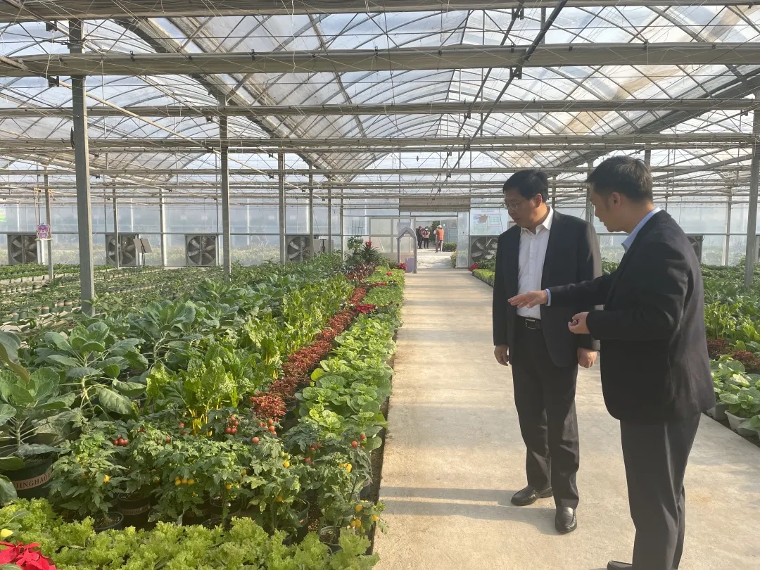 第五屆中國&middot;江蘇蔬菜種業(yè)博覽會(huì)開幕 1511個(gè)品種集體亮相