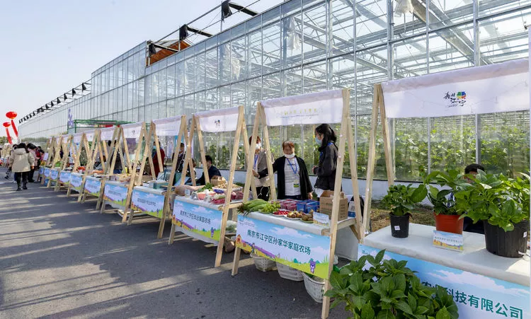 第五屆中國&middot;江蘇蔬菜種業(yè)博覽會(huì)開幕 1511個(gè)品種集體亮相
