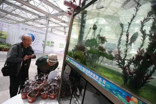 做農(nóng)業(yè)，這幾種高效生態(tài)農(nóng)業(yè)模式你必須知道