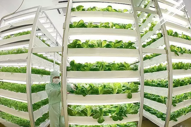 做農(nóng)業(yè)，這幾種高效生態(tài)農(nóng)業(yè)模式你必須知道