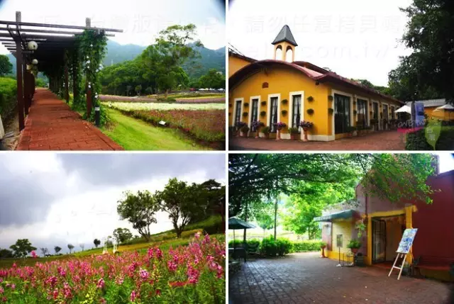 做農(nóng)業(yè)，這幾種高效生態(tài)農(nóng)業(yè)模式你必須知道