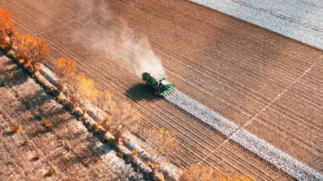 種棉&ldquo;游戲&rdquo;&mdash;&mdash;新疆尉犁縣&ldquo;90后&rdquo;的無人農場印象