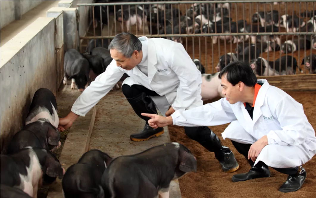 寧鄉(xiāng)：新型職業(yè)農(nóng)民成為令人羨慕的&ldquo;綠領(lǐng)&rdquo;