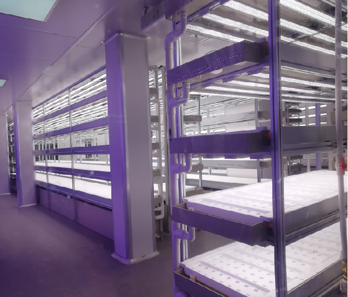 室內(nèi)農(nóng)業(yè)