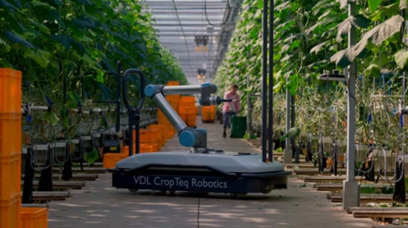 CropTeq摘葉機(jī)器人