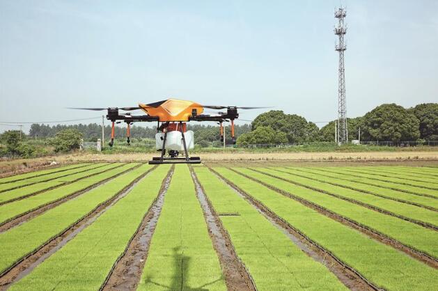 無(wú)人機(jī)噴灑農(nóng)藥