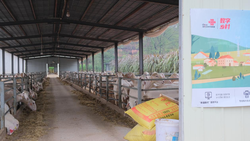 聯(lián)通5G破譯鄉(xiāng)村振興&ldquo;密碼&rdquo;助力&ldquo;智慧農(nóng)業(yè)&rdquo;生根結(jié)果