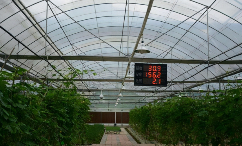 農(nóng)業(yè)物聯(lián)網(wǎng)是什么？對農(nóng)業(yè)的好處到底在哪里？