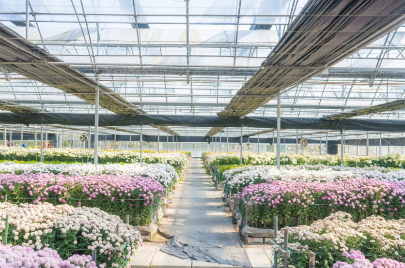 智慧農(nóng)業(yè)未來：物聯(lián)網(wǎng)+農(nóng)業(yè)：連接性如何改變農(nóng)業(yè)