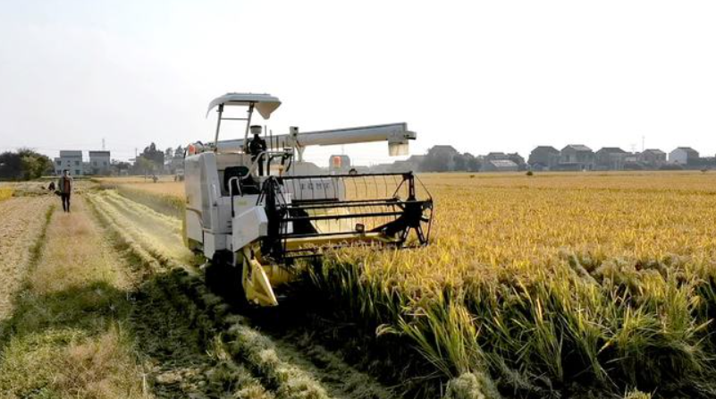 豐疆智能：加速落地&ldquo;無人農(nóng)場&rdquo;，賦能鄉(xiāng)村振興！