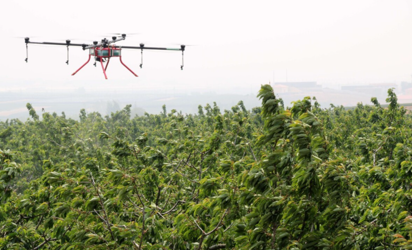 無人飛機(jī)在果園植保中的技術(shù)路線越來越成熟