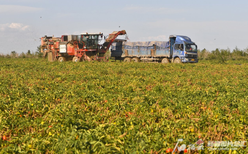 &ldquo;汗水農(nóng)業(yè)&rdquo;向&ldquo;智慧農(nóng)業(yè)&rdquo;轉(zhuǎn)變