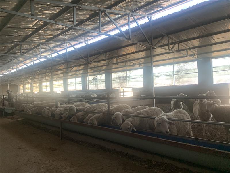 &ldquo;抱團(tuán)&rdquo;謀發(fā)展 合作社&ldquo;錢&rdquo;途無量