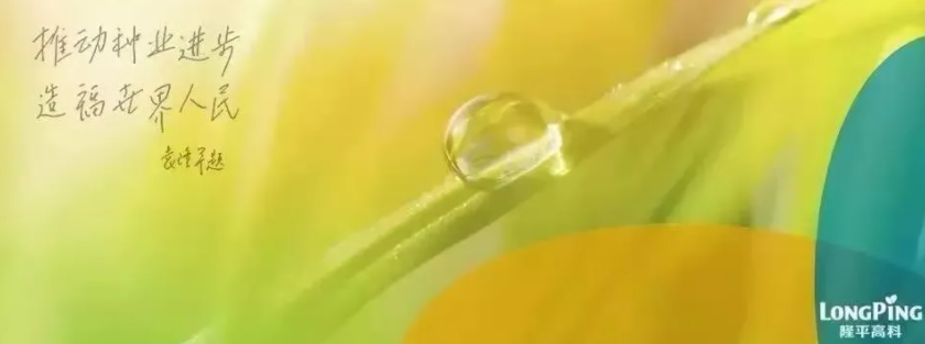 農(nóng)民日報 | 中信農(nóng)業(yè)著力構(gòu)建&ldquo;產(chǎn)業(yè)＋科技＋金融&rdquo;綜合發(fā)展平臺&mdash;&mdash;精準(zhǔn)布局國內(nèi)外種業(yè)市場