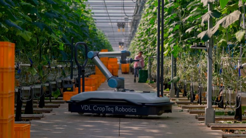 「國(guó)際視野」農(nóng)業(yè)機(jī)器人助力自動(dòng)化種植與生產(chǎn)