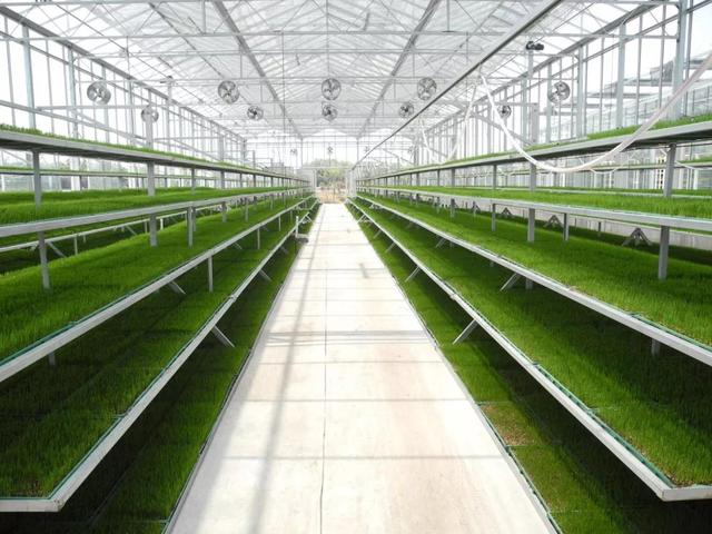 智慧農(nóng)業(yè)國家改革試點 蘇州為農(nóng)業(yè)插上&ldquo;智慧翅膀&rdquo;