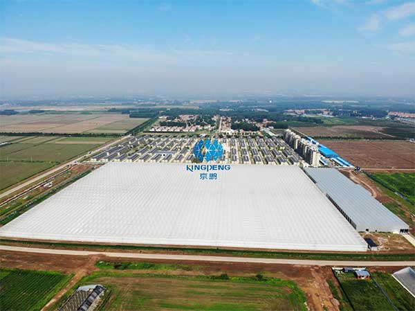 引領(lǐng)行業(yè)技術(shù)創(chuàng)新&ldquo;京鵬智造&rdquo;結(jié)碩果 &mdash;&mdash;專訪京鵬科技總工程師：周增產(chǎn)