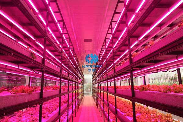 引領(lǐng)行業(yè)技術(shù)創(chuàng)新&ldquo;京鵬智造&rdquo;結(jié)碩果 &mdash;&mdash;專訪京鵬科技總工程師：周增產(chǎn)