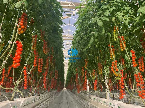 引領(lǐng)行業(yè)技術(shù)創(chuàng)新&ldquo;京鵬智造&rdquo;結(jié)碩果 &mdash;&mdash;專訪京鵬科技總工程師：周增產(chǎn)