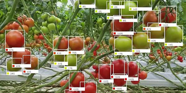 智慧農(nóng)業(yè)的未來&mdash;&mdash;5款人工智能農(nóng)業(yè)機器人