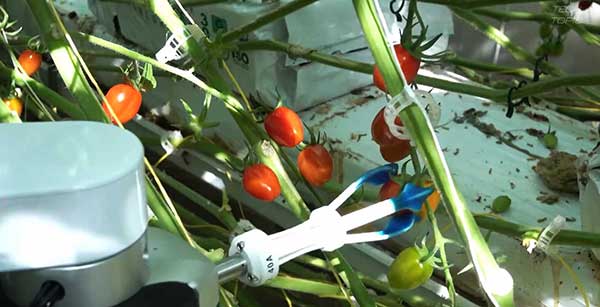 智慧農(nóng)業(yè)的未來&mdash;&mdash;5款人工智能農(nóng)業(yè)機器人