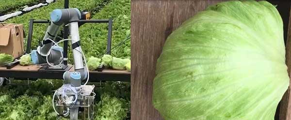 智慧農(nóng)業(yè)的未來&mdash;&mdash;5款人工智能農(nóng)業(yè)機器人