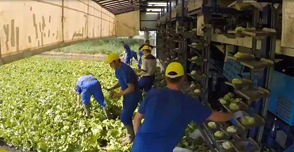 智慧農(nóng)業(yè)的未來&mdash;&mdash;5款人工智能農(nóng)業(yè)機器人