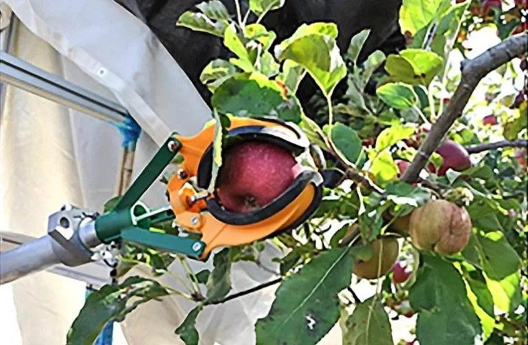 明確了！&ldquo;十四五&rdquo;重點(diǎn)研制這些農(nóng)業(yè)機(jī)器人！