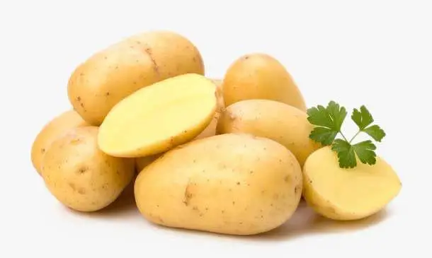 30萬畝種植基地全程機(jī)械化&mdash;&mdash;山西&ldquo;土豆革命&rdquo;行動(dòng)方案發(fā)布