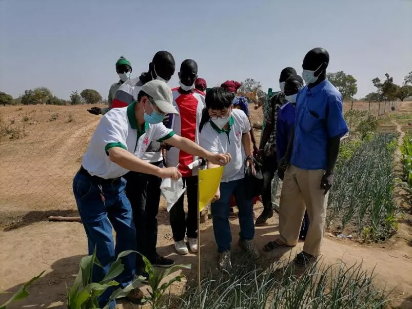 糧食產(chǎn)量高，生活有余裕&mdash;&mdash;中國專家在布開展水稻高產(chǎn)競賽和蔬菜種植培訓