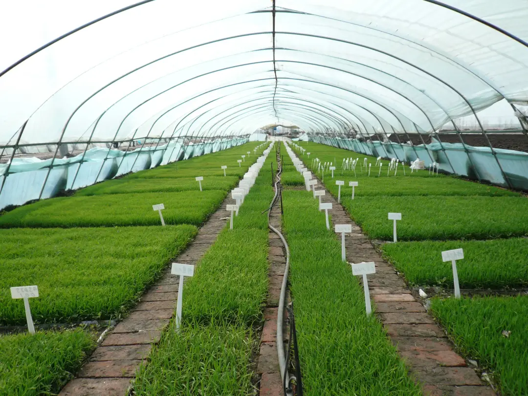 盤和林：&ldquo;十四五&rdquo;：鄉(xiāng)村建設進入數(shù)字驅(qū)動新階段