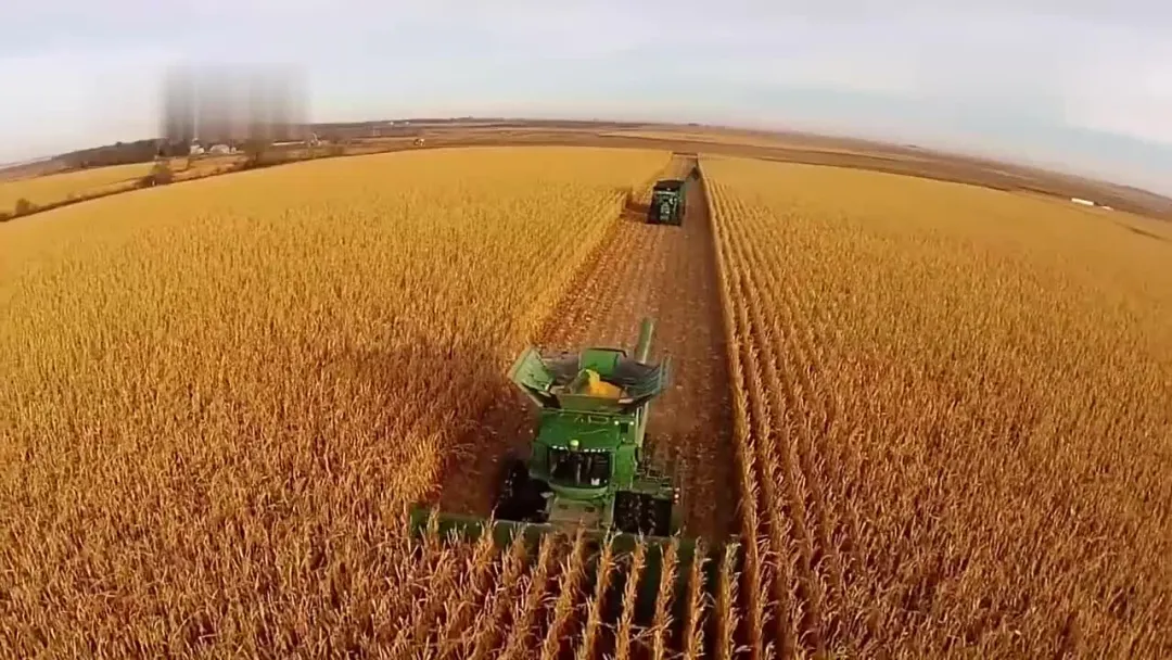 2021年糧食產(chǎn)量再創(chuàng)新高！機(jī)收減損功不可沒(méi)！