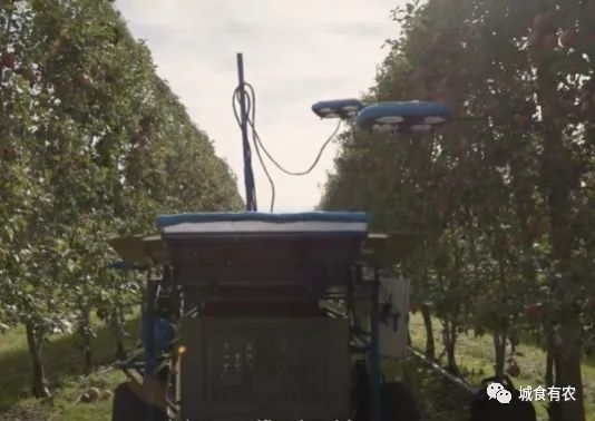 會摘蘋果的飛行機(jī)器人，從概念圖到商業(yè)化Tevel只用了4年