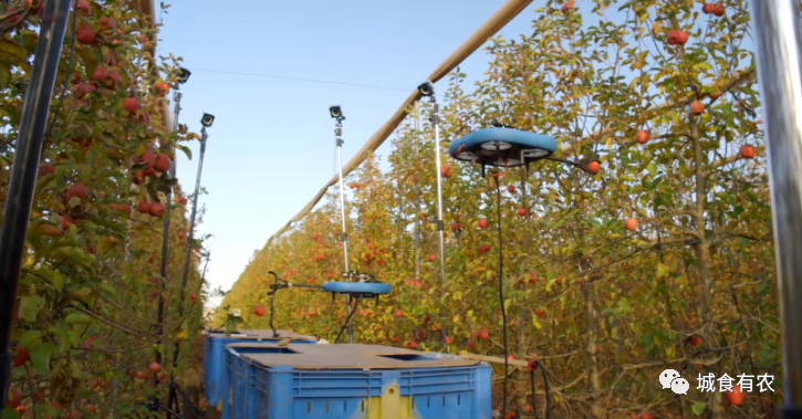 會摘蘋果的飛行機(jī)器人，從概念圖到商業(yè)化Tevel只用了4年