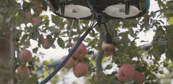 會摘蘋果的飛行機(jī)器人，從概念圖到商業(yè)化Tevel只用了4年