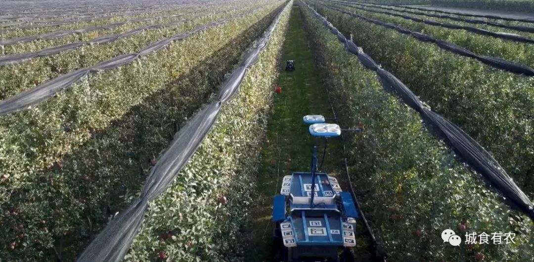 會摘蘋果的飛行機(jī)器人，從概念圖到商業(yè)化Tevel只用了4年