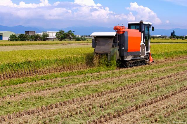 溫鐵軍：中國(guó)農(nóng)業(yè)4.0時(shí)代，家庭農(nóng)場(chǎng)、小農(nóng)戶(hù)仍然是發(fā)展的趨勢(shì)