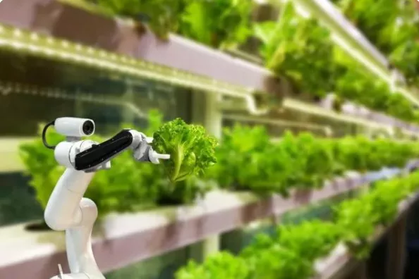 新加坡農(nóng)業(yè)：5大創(chuàng)新玩法，中國(guó)農(nóng)業(yè)值得借鑒