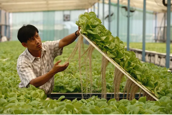 新加坡農(nóng)業(yè)：5大創(chuàng)新玩法，中國(guó)農(nóng)業(yè)值得借鑒