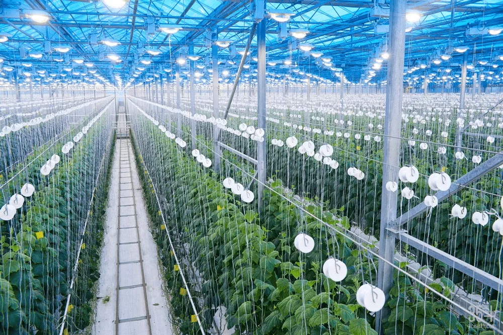 張合成：建立農(nóng)業(yè)科技優(yōu)先發(fā)展的政策體系